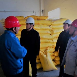 ˾I(lng)(do)һ(xin)ο(wn)(do)z鴺(ji)gȫa(chn)