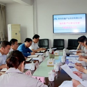 ˾_(qing)h(yn)o(j)ٰl(f)չ(xing)I(lng)(do)ӌ}(hu)