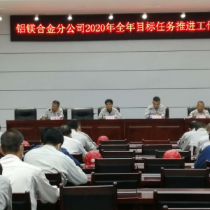 XVϽֹ˾_2020ȫĿ(bio)΄(w)Mh